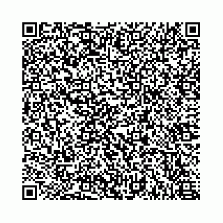 vCard 78615540381