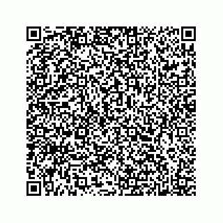 vCard 78615579208