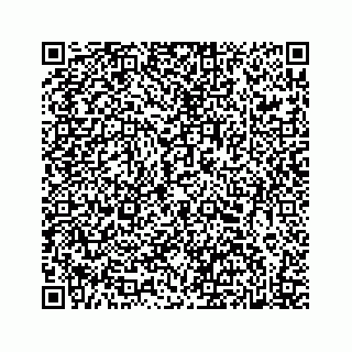 vCard 78615579381
