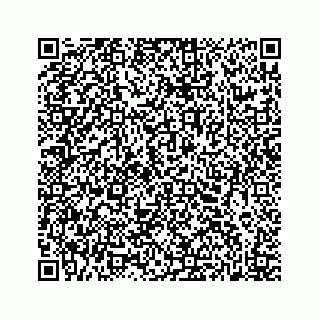 vCard 78615593385