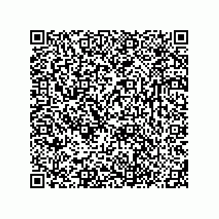 vCard 78616791381