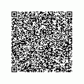 vCard 78617639315