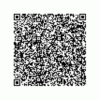 vCard 78619321006