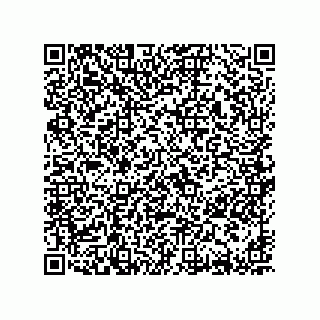 vCard 78619321009