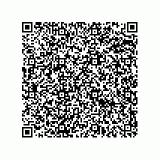 vCard 78619321013