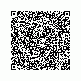 vCard 78619321033
