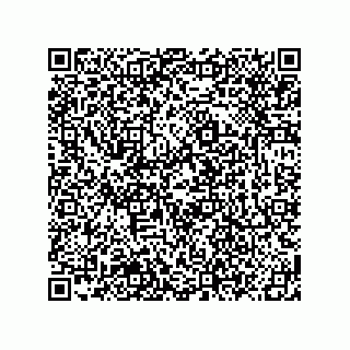 vCard 78619321040
