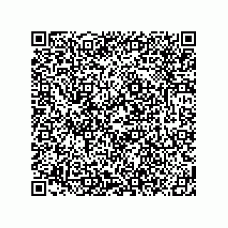 vCard 78619321081