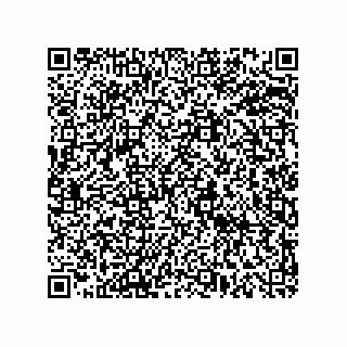 vCard 78619321106