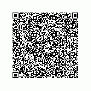 vCard 78619321110