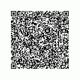 vCard 78619321133