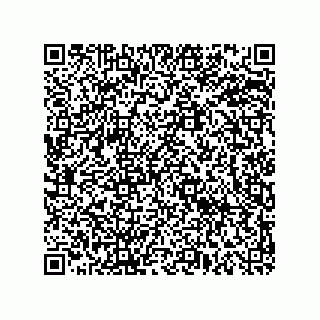 vCard 78619321137