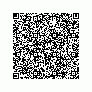 vCard 78619321138