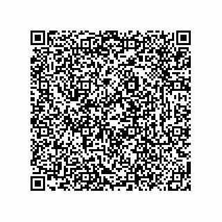 vCard 78619321167