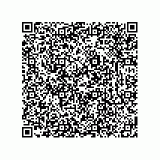 vCard 78619321173