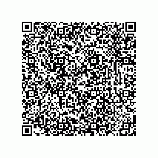 vCard 78619321303