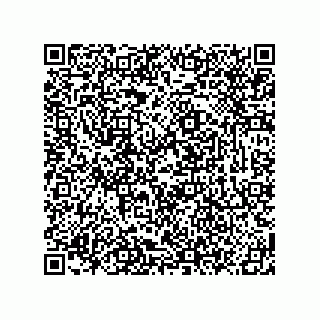 vCard 78619321304