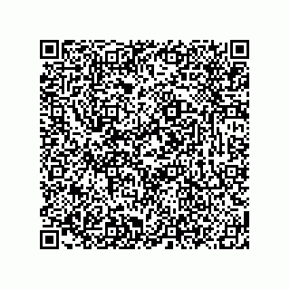 vCard 78619321310