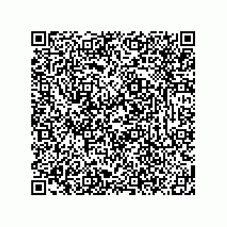 vCard 78619321331