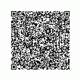 vCard 78619321333