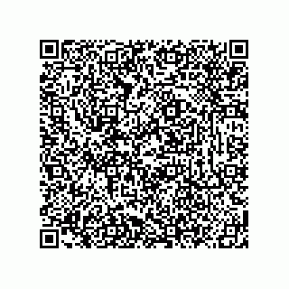 vCard 78619321334