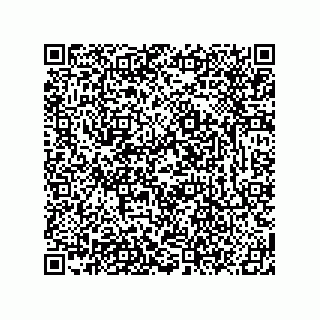 vCard 78619321379