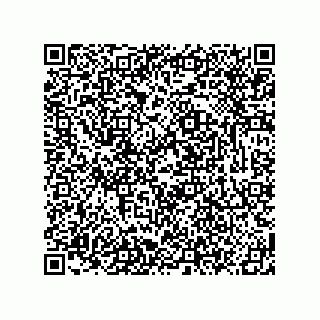 vCard 78619321381