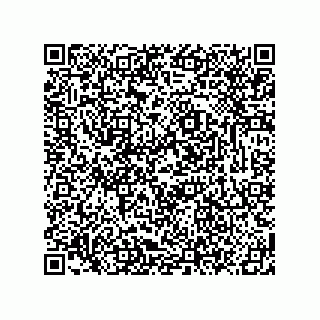 vCard 78619321383
