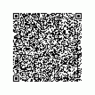 vCard 78619321384