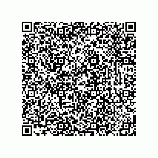vCard 78619321387