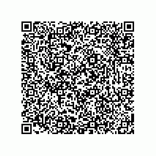 vCard 78619321395