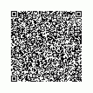 vCard 78619630003