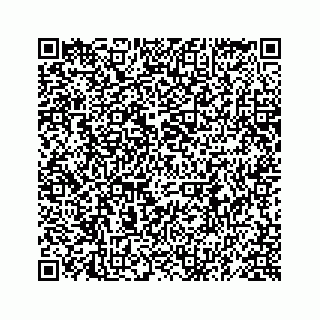 vCard 78619630004
