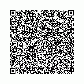 vCard 78619630013
