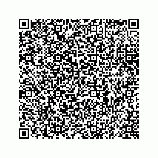 vCard 78619630031