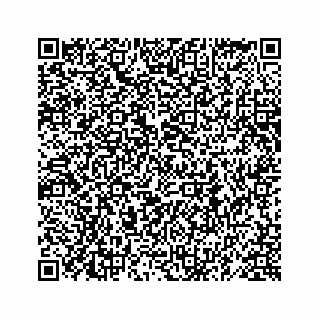 vCard 78619630041