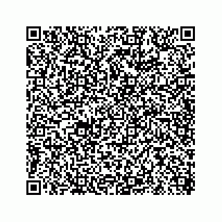 vCard 78619630069