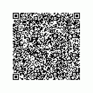 vCard 78619640065