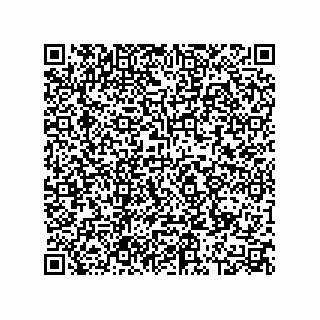 vCard 78619640081