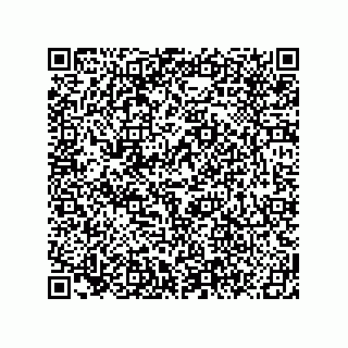 vCard 78619640095