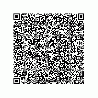 vCard 78619640100