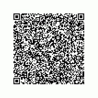 vCard 78619640297