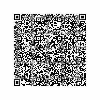vCard 78619640311