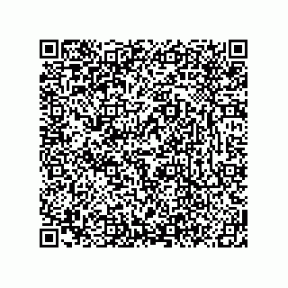 vCard 78619640333