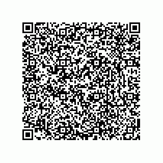 vCard 78619640379