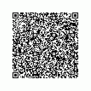 vCard 78619640380