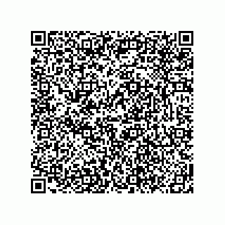 vCard 78619640381