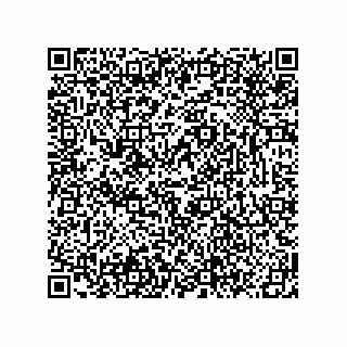 vCard 78619640383