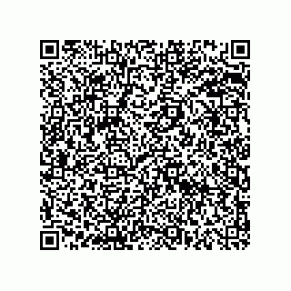 vCard 78619640385