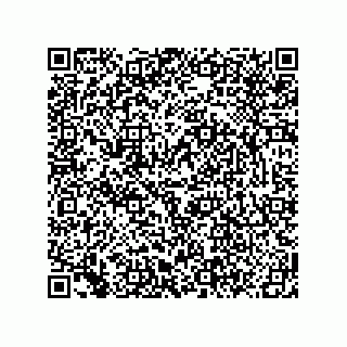vCard 78619640389
